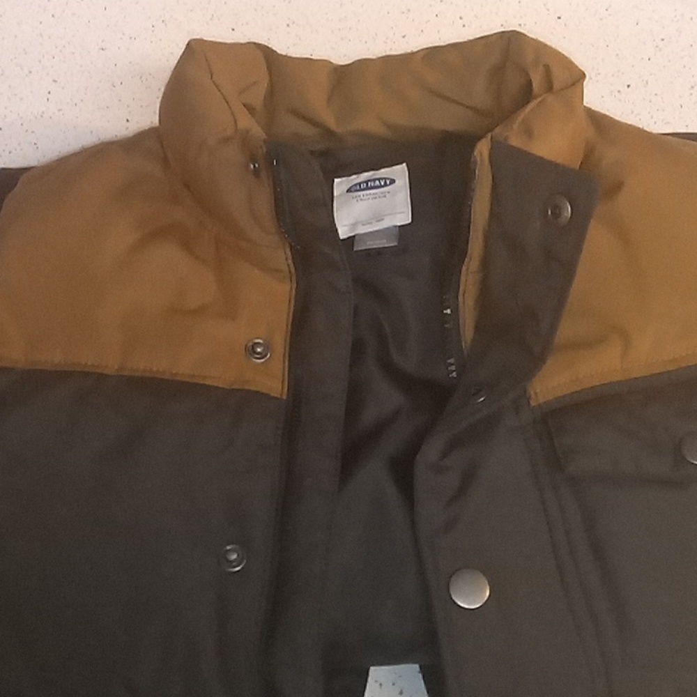 Vest